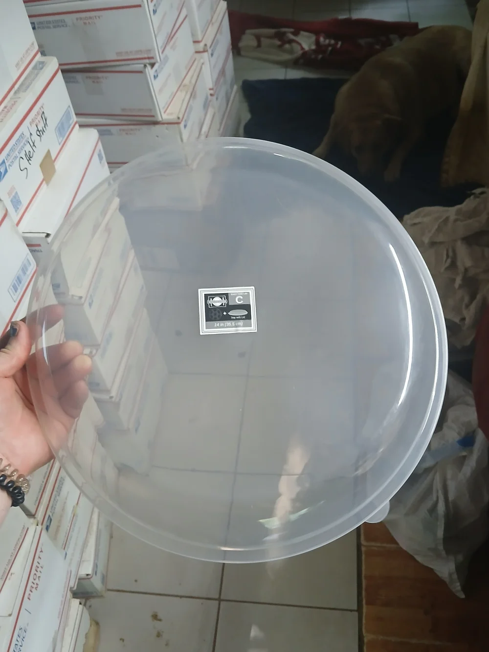 translucent 14-inch (35.5 cm) round plastic plate or tray cover. X50